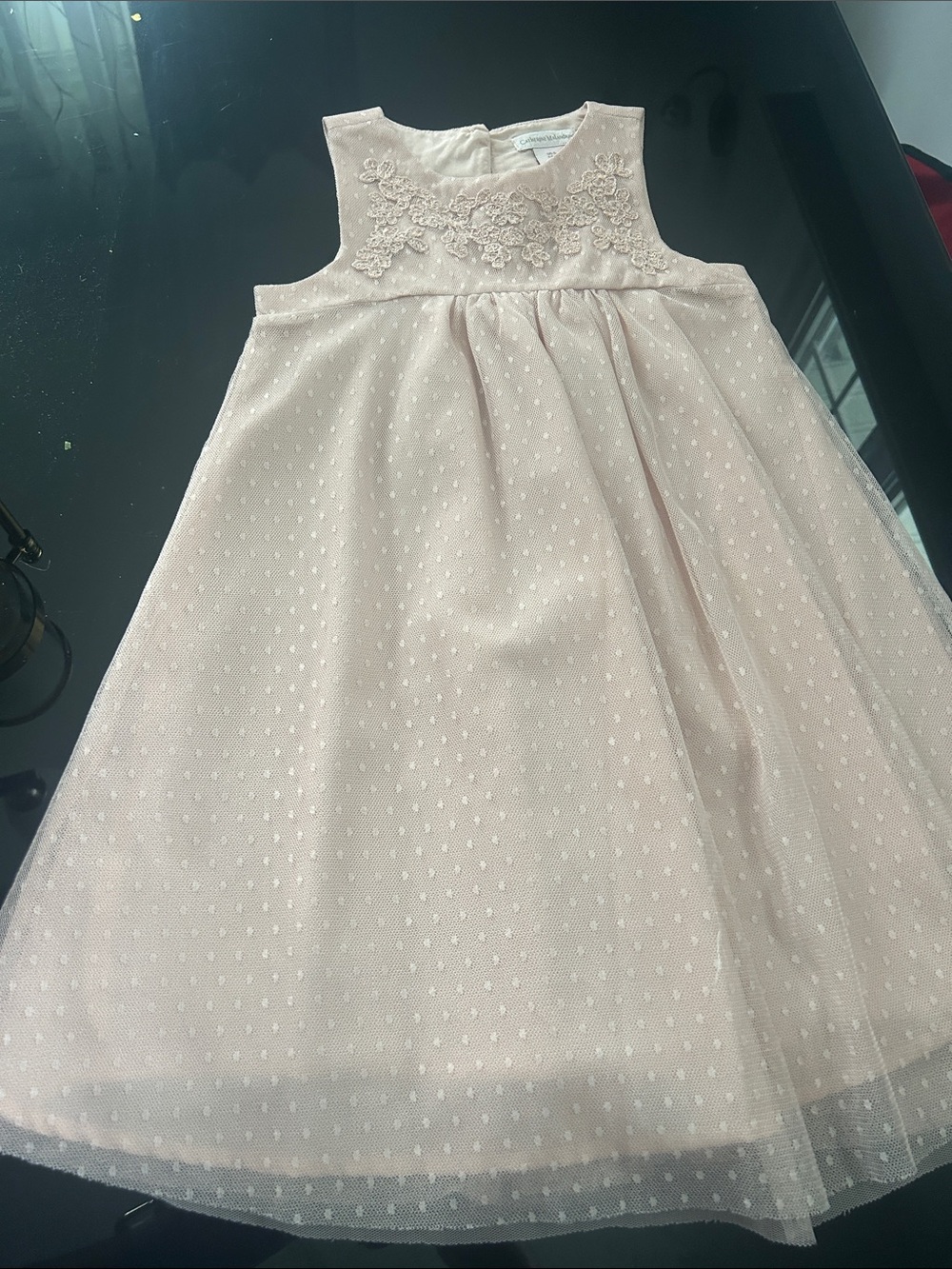 Catherine Malandrino Pale Blush Embroidered Tulle Dress